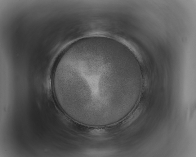 X0000102401462200808011537