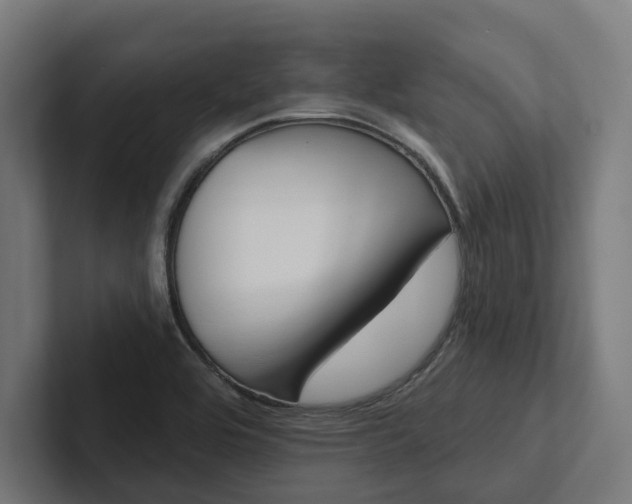 X0000102401464200808011536