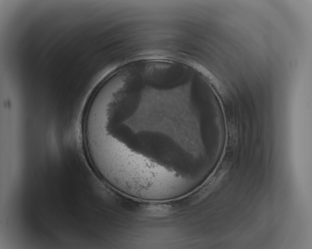 X0000102401466200808011536