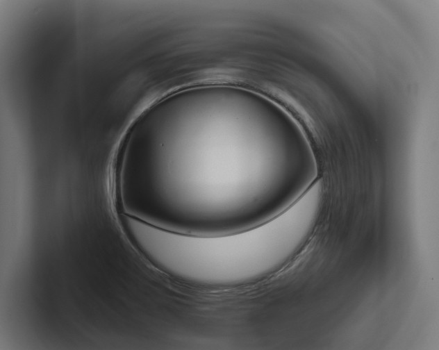 X0000102401467200808011536