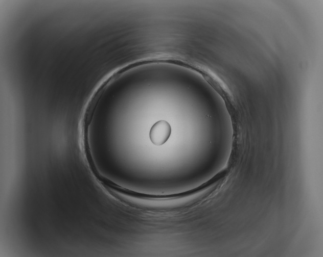 X0000102401468200808011536