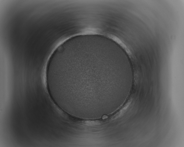 X0000102401469200808011536