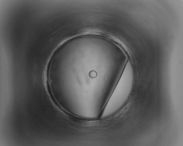 X0000102401471200808011536