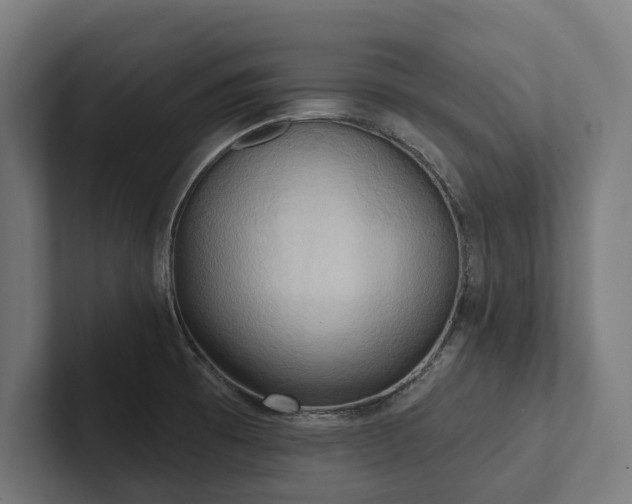 X0000102401473200808011536