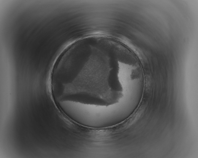 X0000102401474200808011536