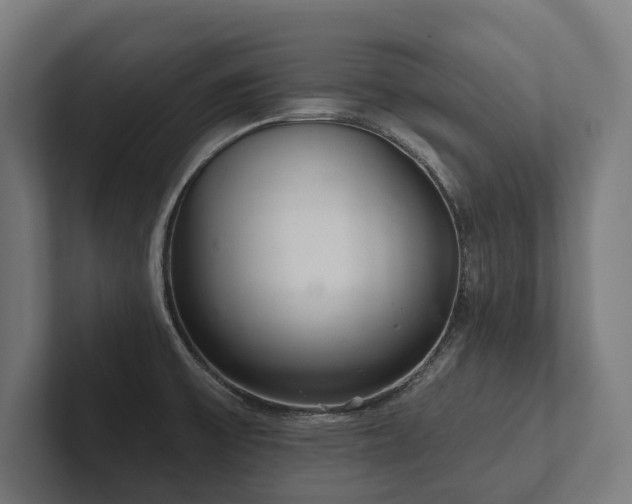 X0000102401475200808011536