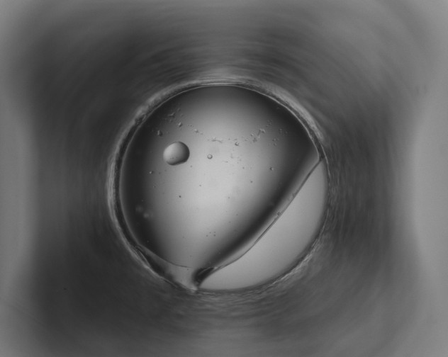 X0000102401477200808011536