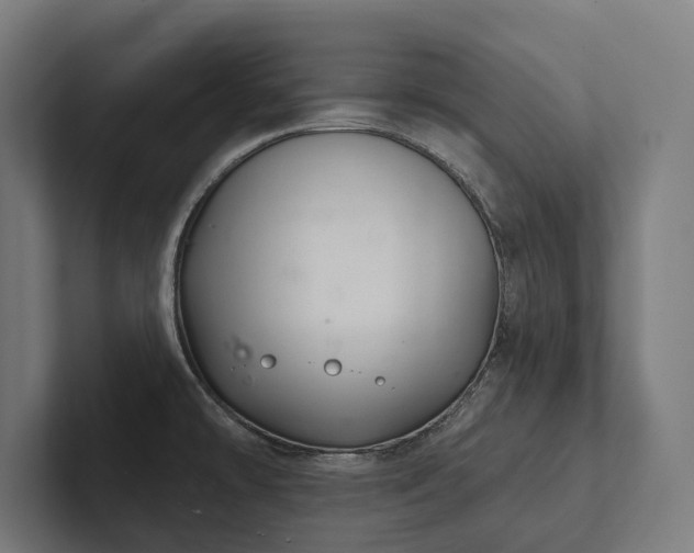 X0000102401478200808011536