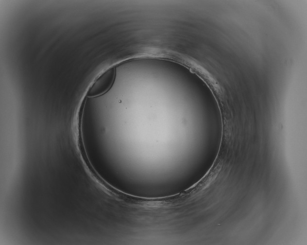 X0000102401479200808011536