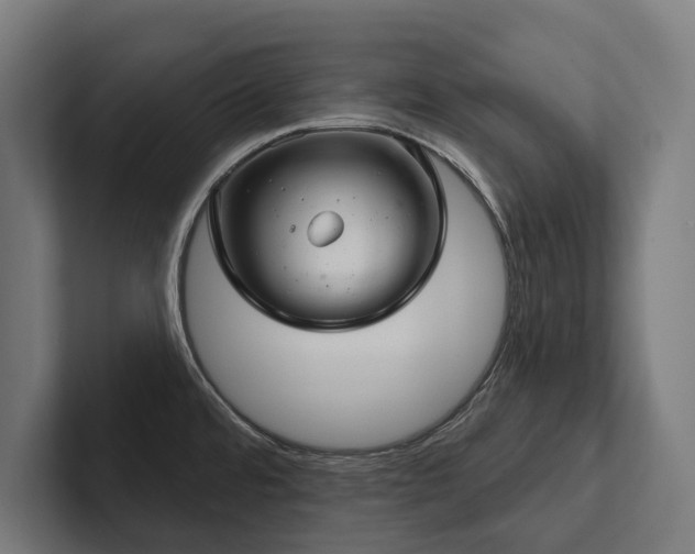 X0000102401480200808011536