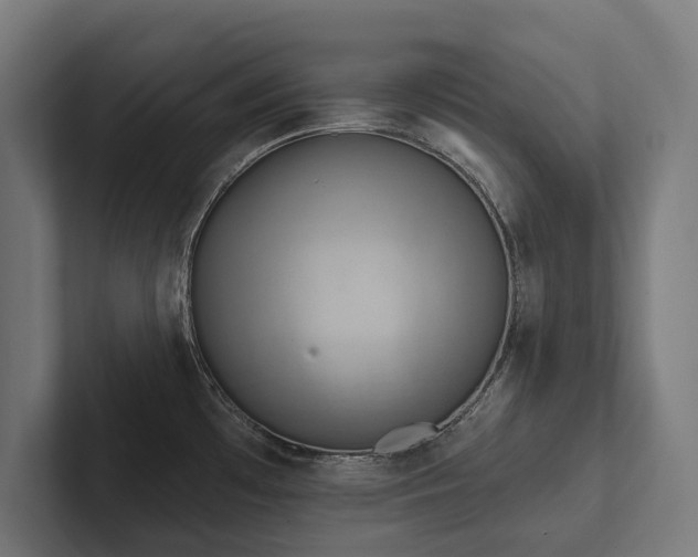 X0000102401481200808011536
