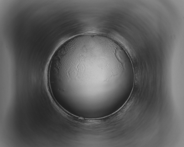 X0000102401483200808011536
