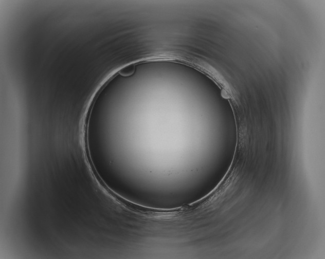 X0000102401484200808011536