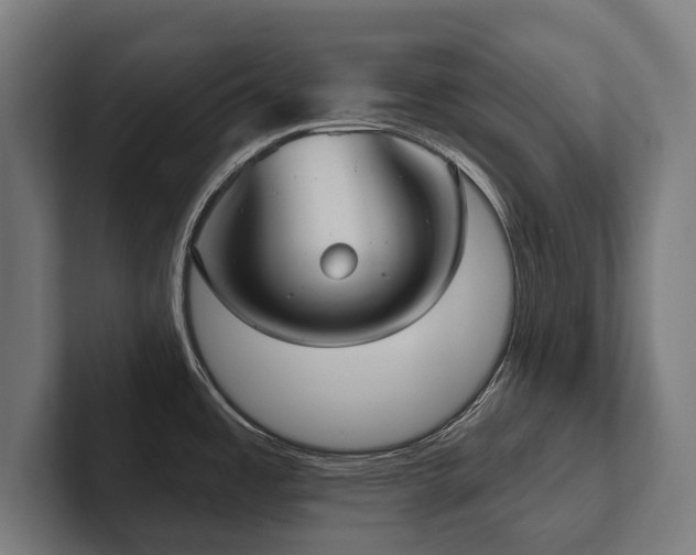 X0000102401485200808011536