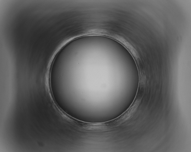 X0000102401486200808011536