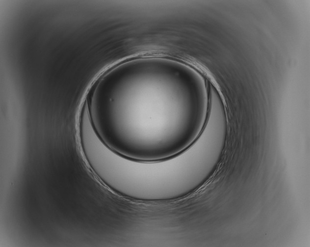 X0000102401488200808011536