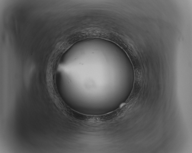 X0000102401489200808011536