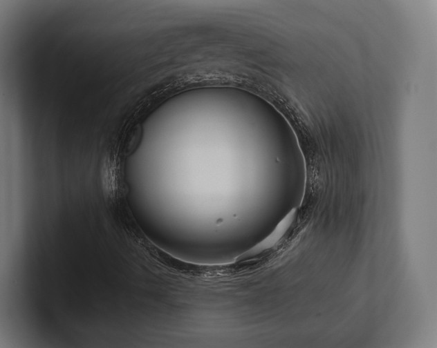 X0000102401490200808011536