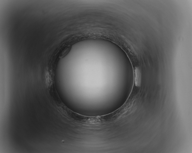 X0000102401491200808011536
