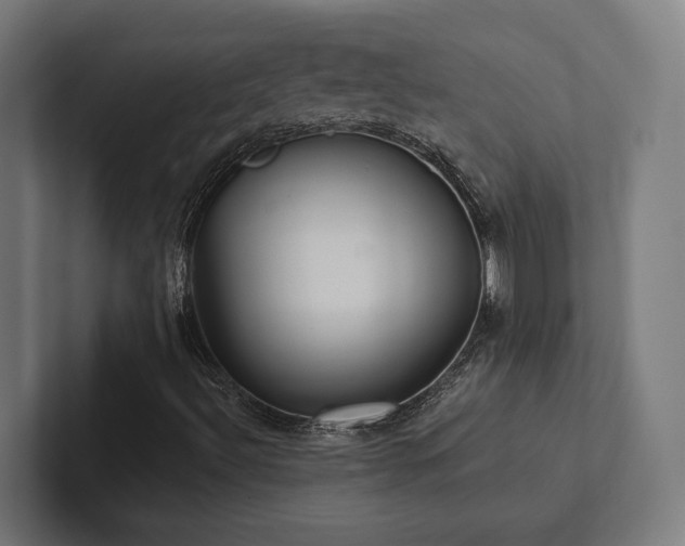 X0000102401492200808011536