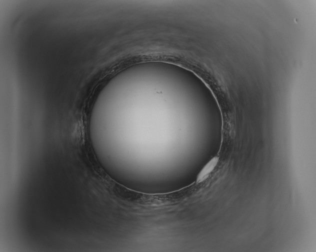 X0000102401493200808011536