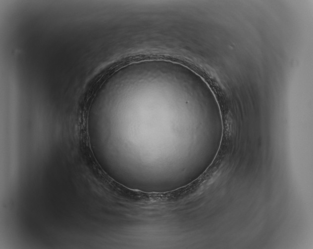 X0000102401494200808011536