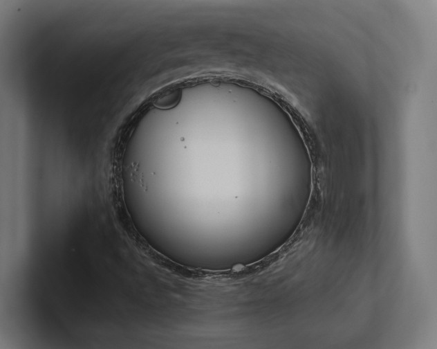 X0000102401496200808011536