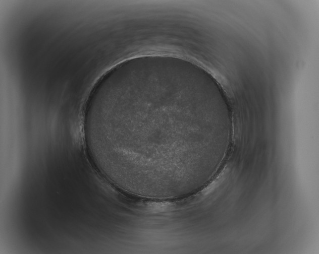X0000102401498200808011536