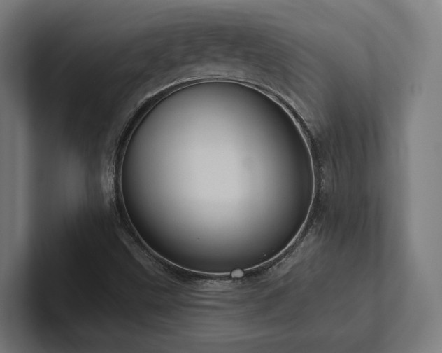 X0000102401499200808011536