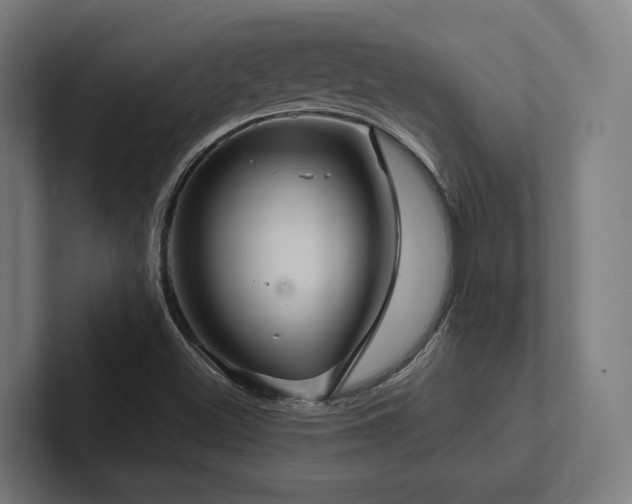 X0000102401500200808011536