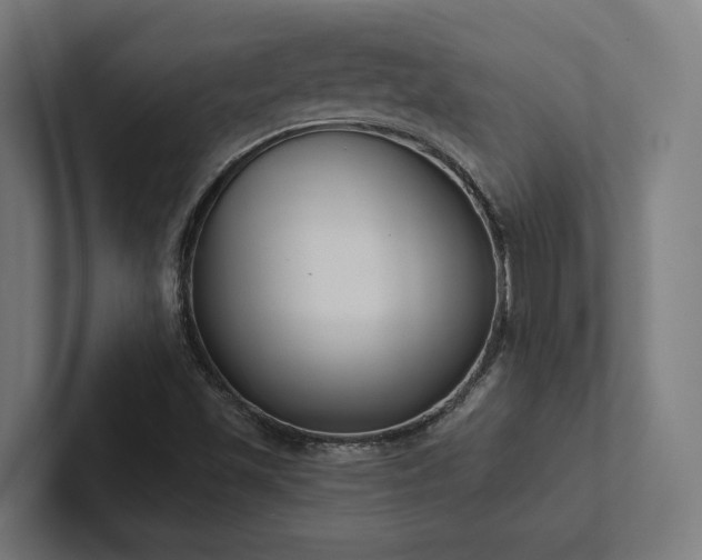 X0000102401501200808011536