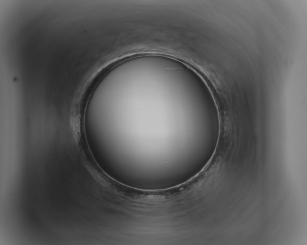 X0000102401503200808011536
