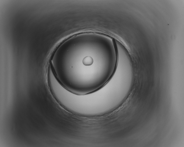 X0000102401504200808011536