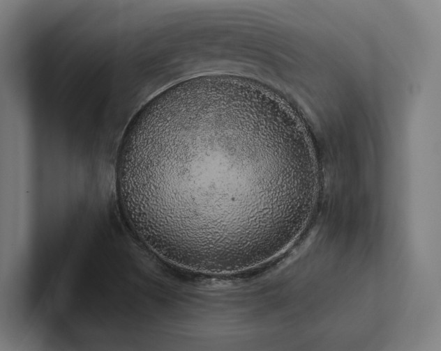 X0000102401505200808011536