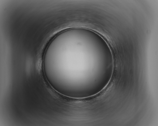 X0000102401507200808011536