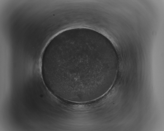 X0000102401508200808011536