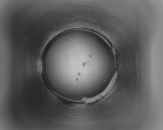 X0000102401509200808011536
