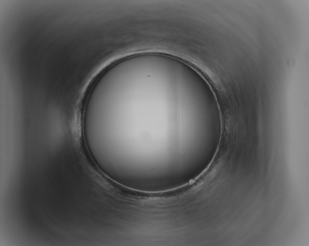X0000102401510200808011536
