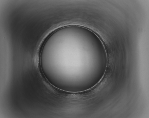 X0000102401511200808011536