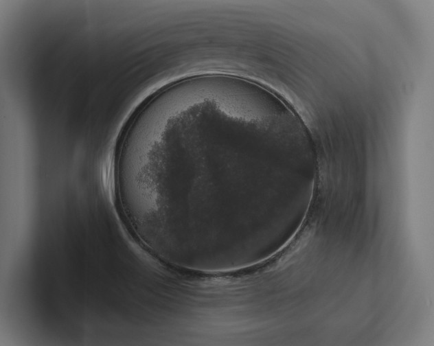 X0000102401515200808011536