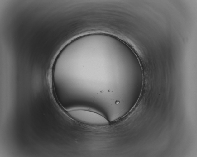 X0000102401516200808011536