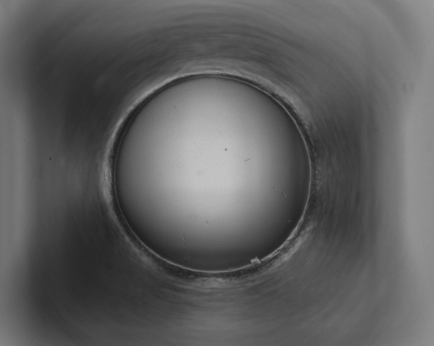 X0000102401517200808011536