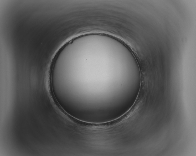 X0000102401518200808011536