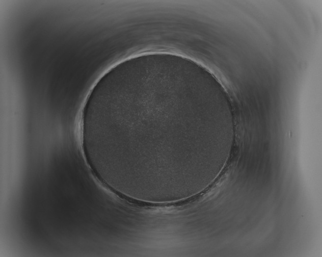 X0000102401519200808011536