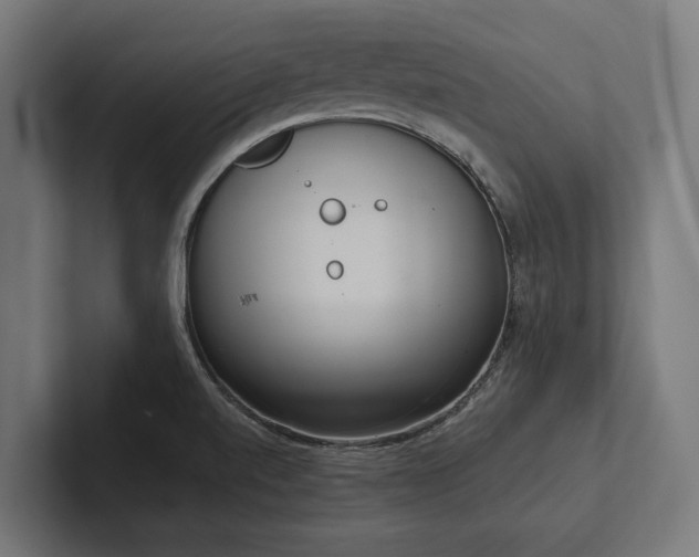 X0000102401520200808011536