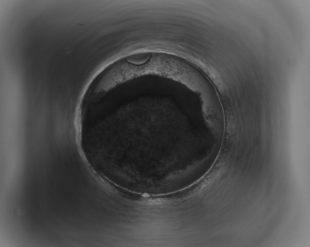 X0000102401522200808011536