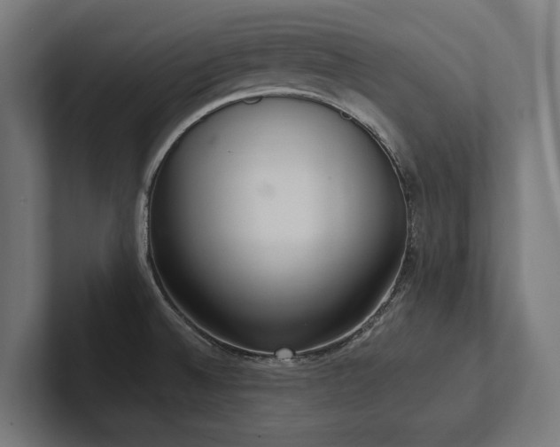 X0000102401524200808011536