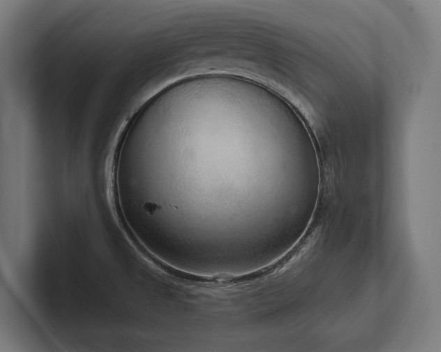X0000102401525200808011536
