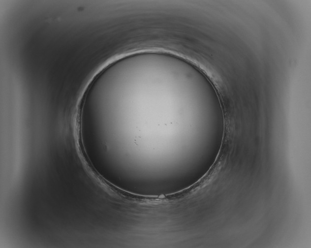 X0000102401526200808011536