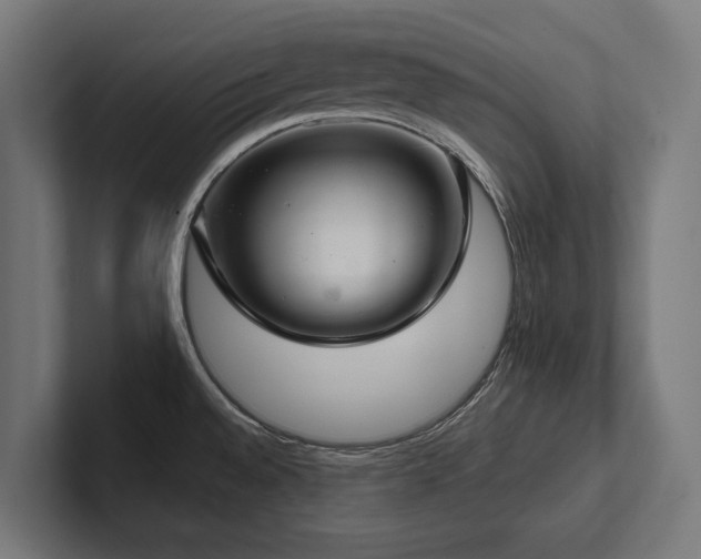 X0000102401528200808011536